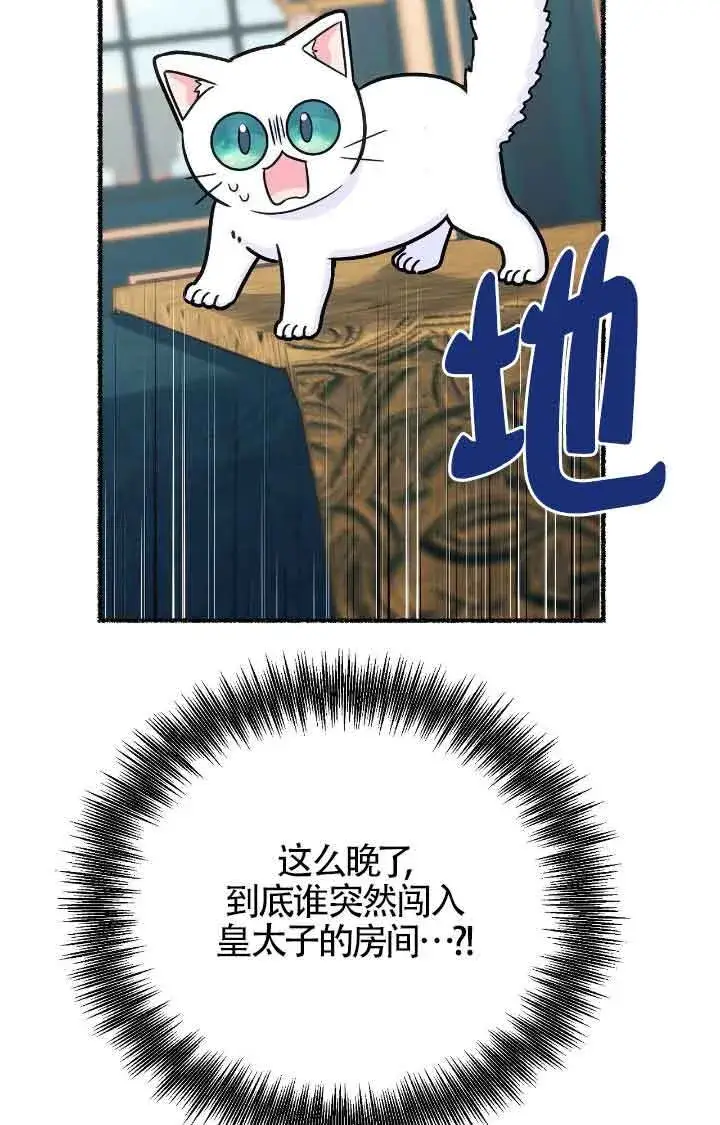 漫画《成了每晚和偏执暴君共眠的猫》第11话第29张图