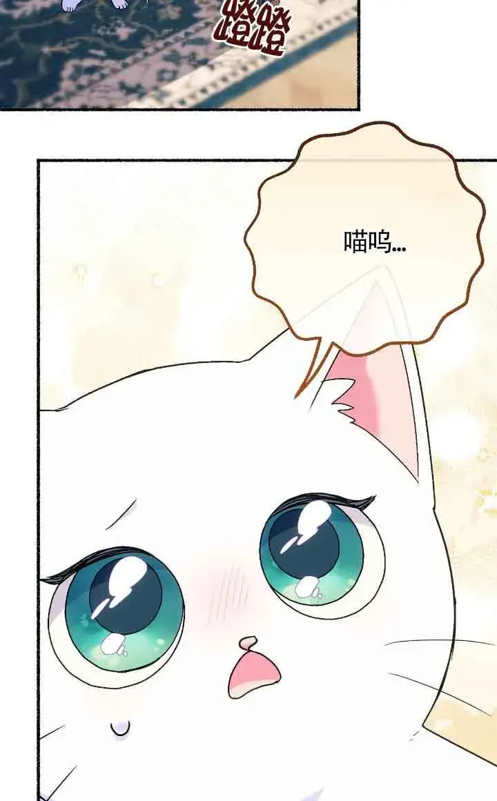 漫画《成了每晚和偏执暴君共眠的猫》第12话第10张图