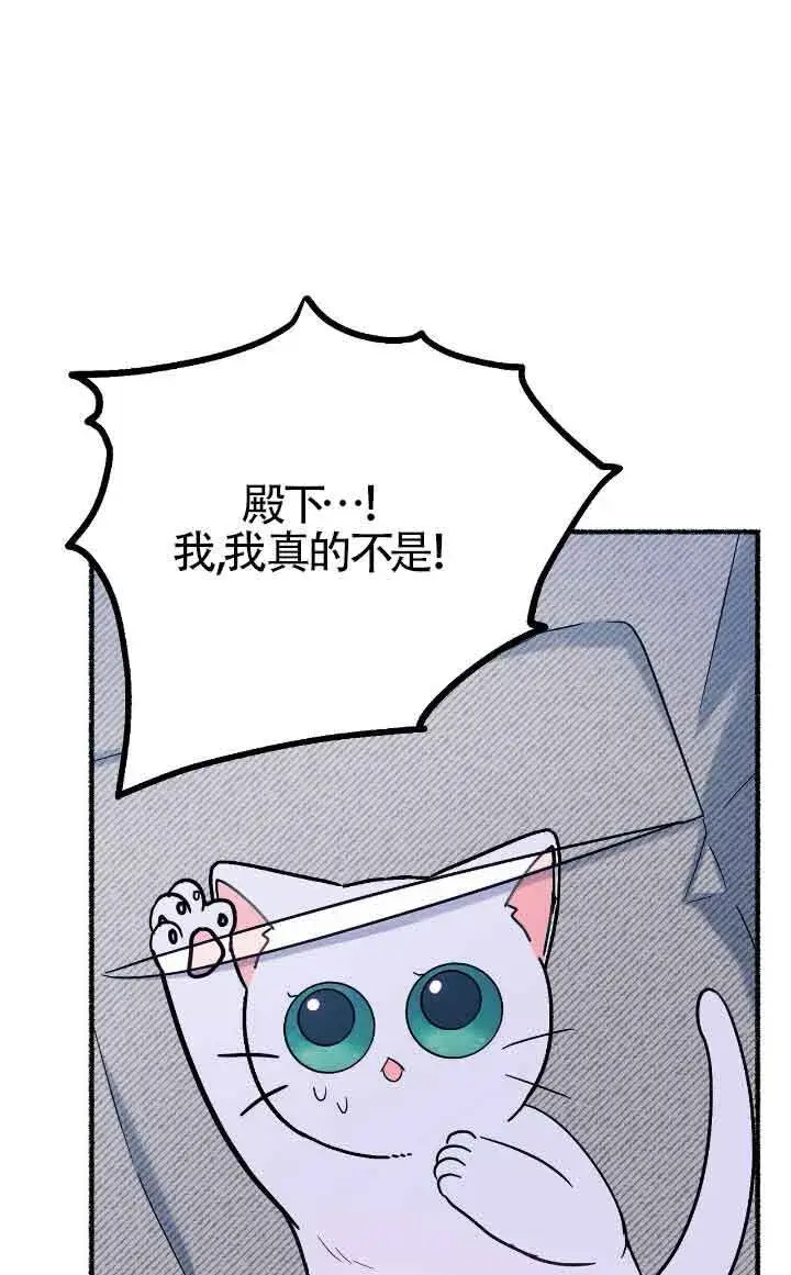 漫画《成了每晚和偏执暴君共眠的猫》第12话第66张图