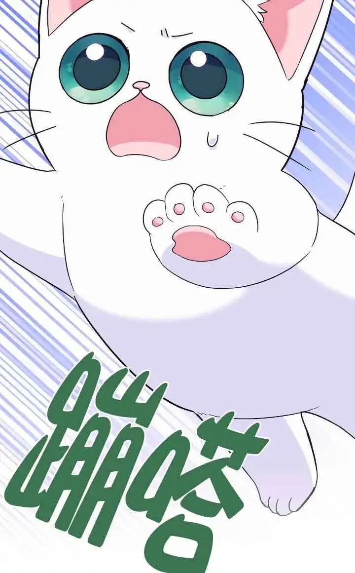漫画《成了每晚和偏执暴君共眠的猫》第12话第74张图