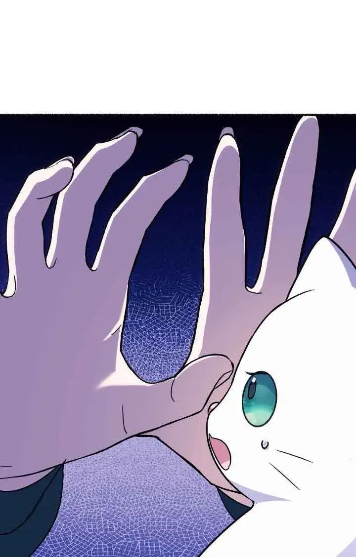 漫画《成了每晚和偏执暴君共眠的猫》第12话第95张图