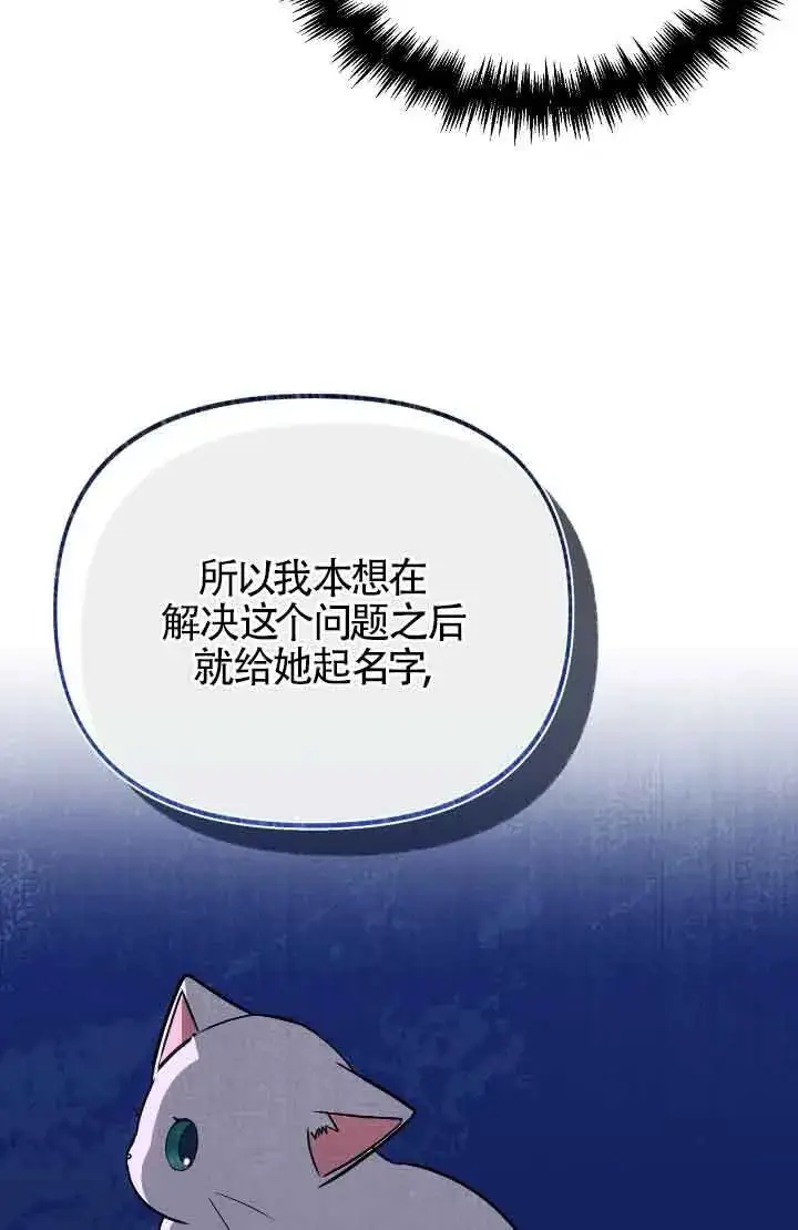漫画《成了每晚和偏执暴君共眠的猫》第14话第5张图
