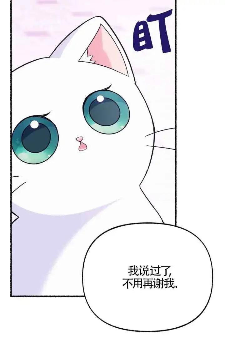 漫画《成了每晚和偏执暴君共眠的猫》第14话第61张图