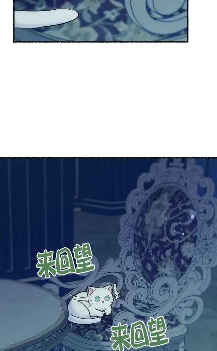 漫画《成了每晚和偏执暴君共眠的猫》第14话第67张图