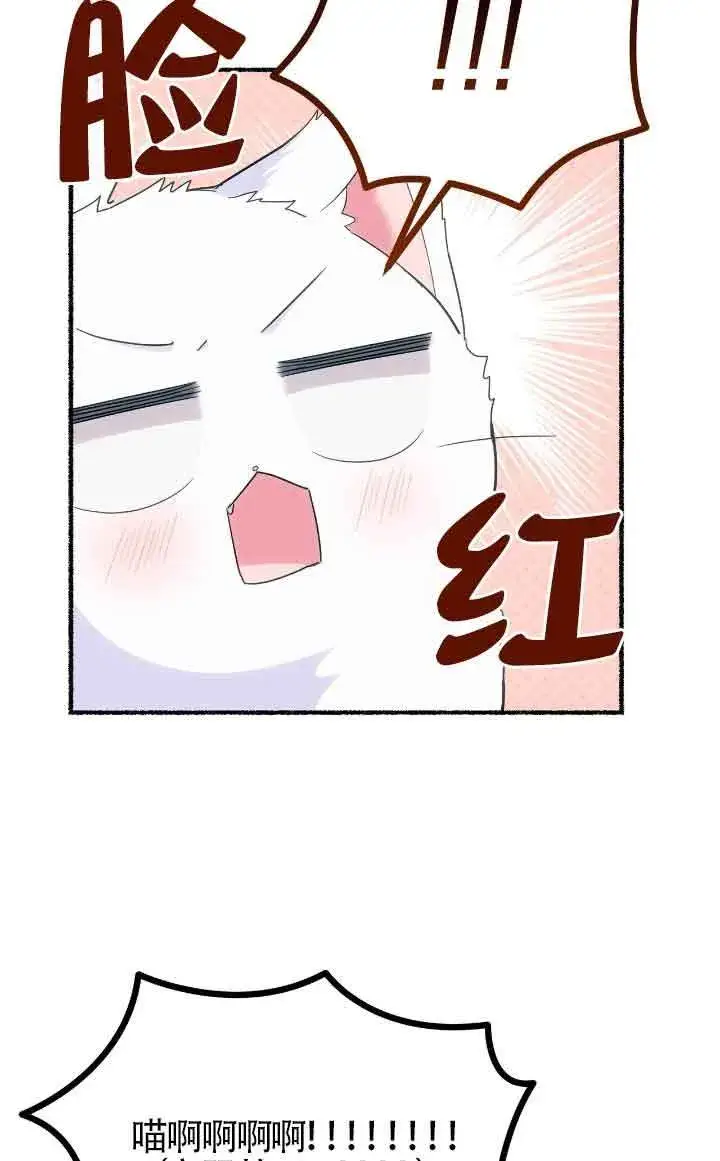 漫画《成了每晚和偏执暴君共眠的猫》第14话第73张图