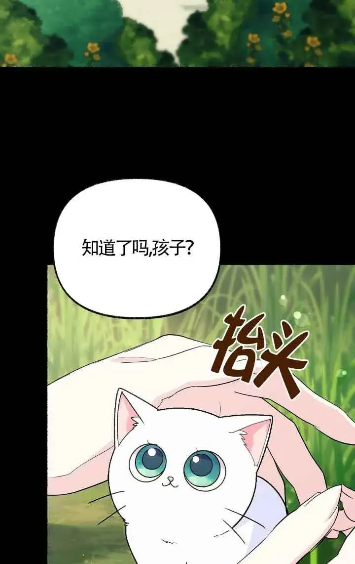 漫画《成了每晚和偏执暴君共眠的猫》第13话第2张图