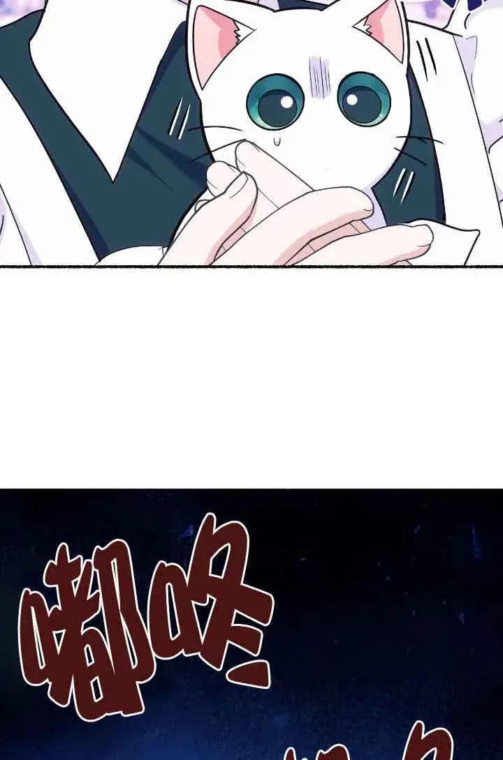 漫画《成了每晚和偏执暴君共眠的猫》第13话第36张图