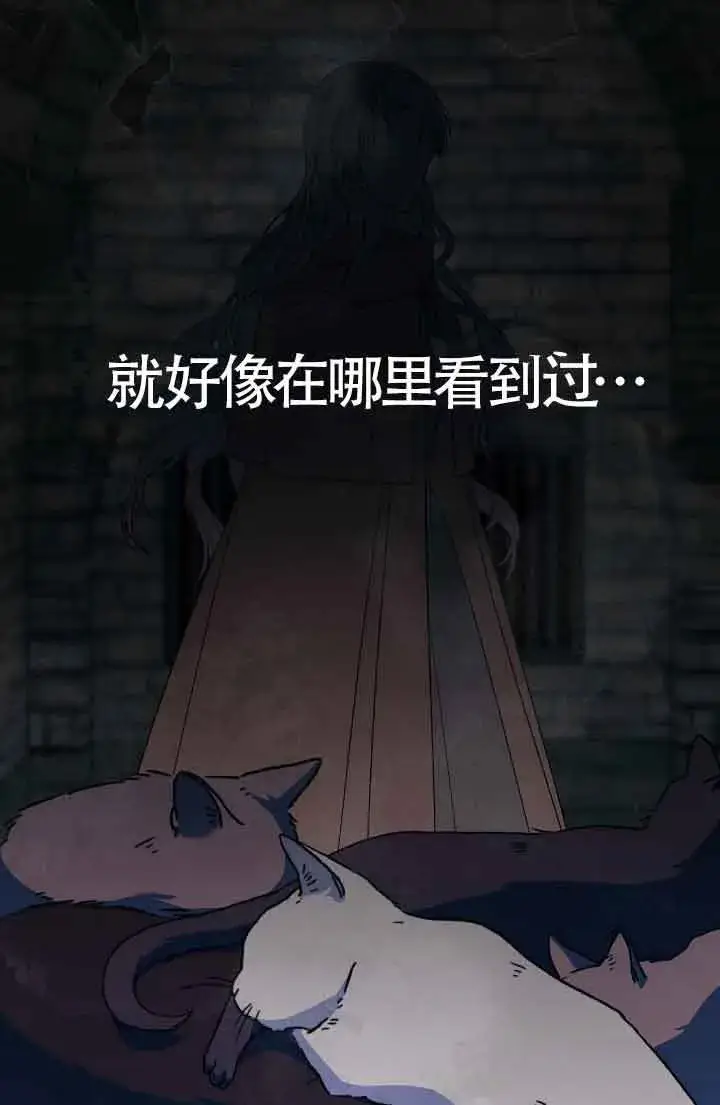 漫画《成了每晚和偏执暴君共眠的猫》第13话第41张图