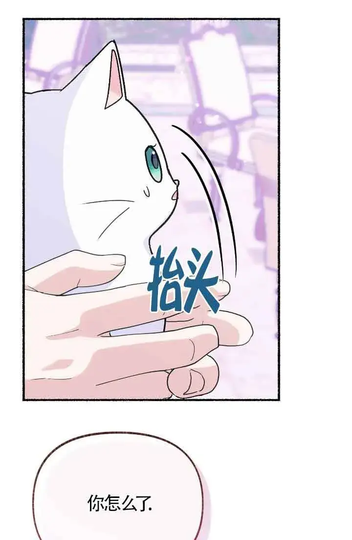 漫画《成了每晚和偏执暴君共眠的猫》第13话第47张图