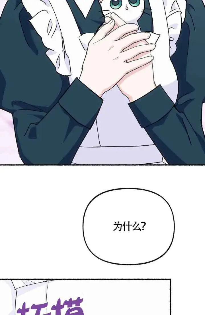 漫画《成了每晚和偏执暴君共眠的猫》第13话第53张图