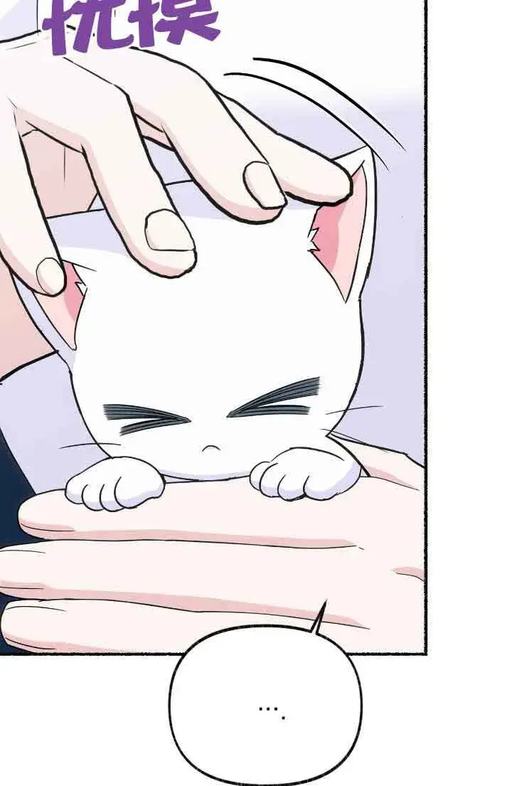 漫画《成了每晚和偏执暴君共眠的猫》第13话第54张图