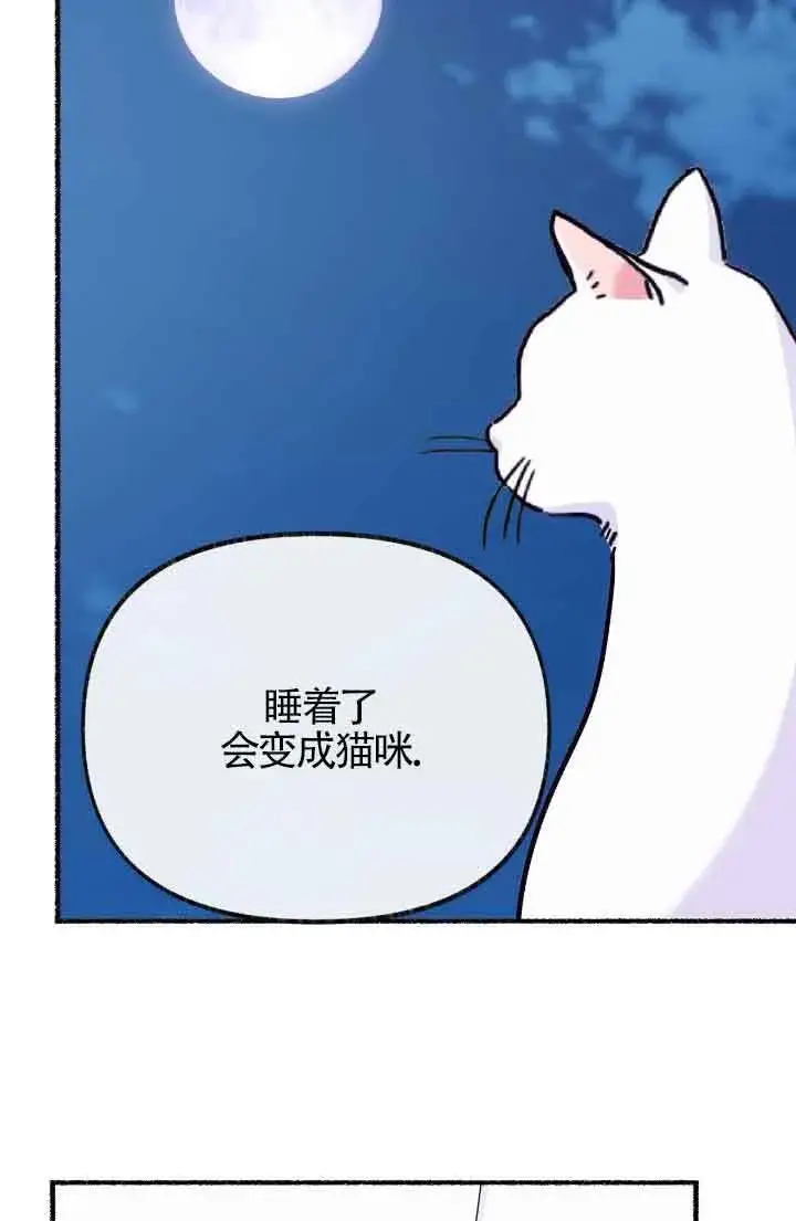 漫画《成了每晚和偏执暴君共眠的猫》第13话第92张图