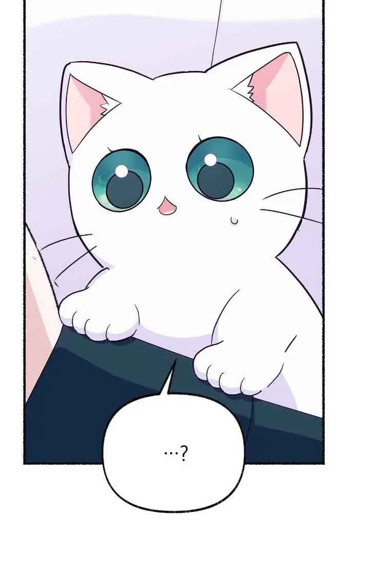 漫画《成了每晚和偏执暴君共眠的猫》第13话第93张图
