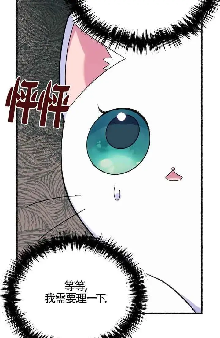 漫画《成了每晚和偏执暴君共眠的猫》第15话第52张图