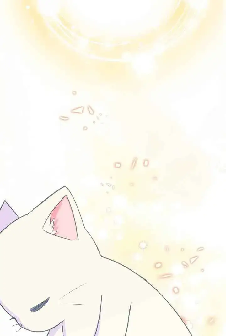 漫画《成了每晚和偏执暴君共眠的猫》第15话第65张图