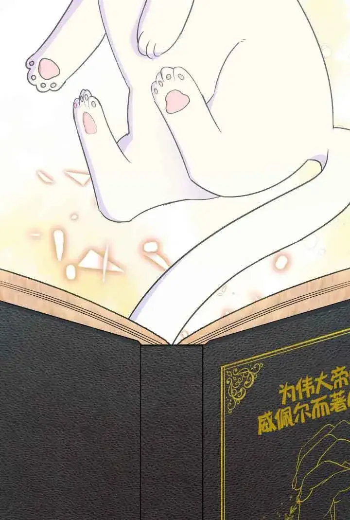 漫画《成了每晚和偏执暴君共眠的猫》第15话第66张图