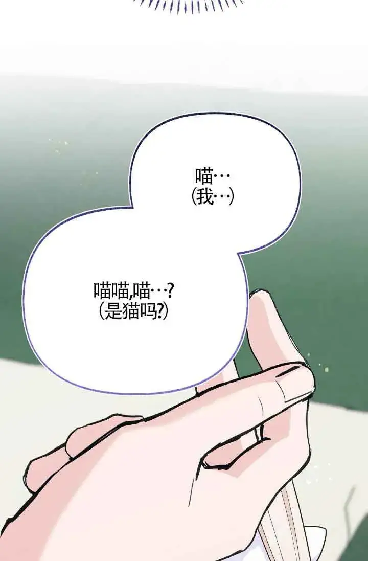 漫画《成了每晚和偏执暴君共眠的猫》第17话第99张图