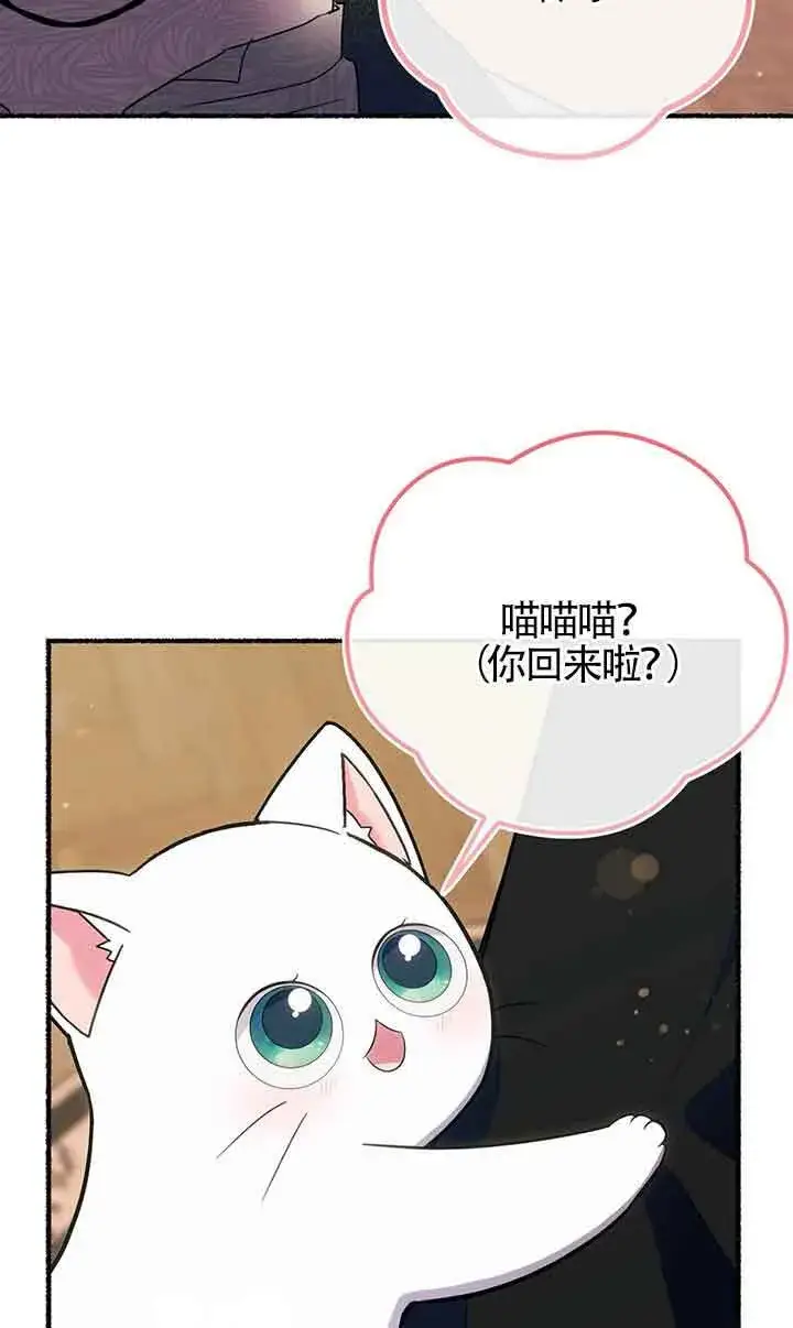 漫画《成了每晚和偏执暴君共眠的猫》第18话第43张图
