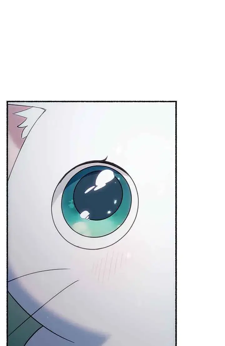 漫画《成了每晚和偏执暴君共眠的猫》第18话第91张图