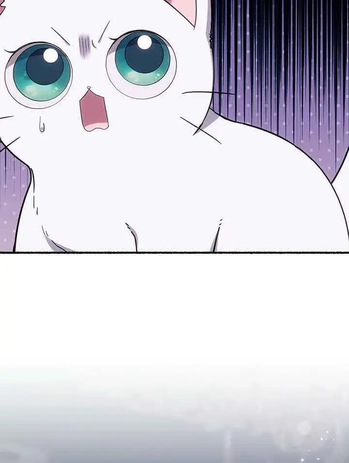 漫画《成了每晚和偏执暴君共眠的猫》第19话第24张图