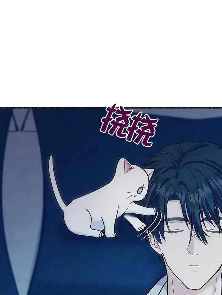 漫画《成了每晚和偏执暴君共眠的猫》第19话第35张图
