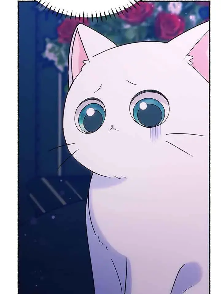 漫画《成了每晚和偏执暴君共眠的猫》第19话第63张图