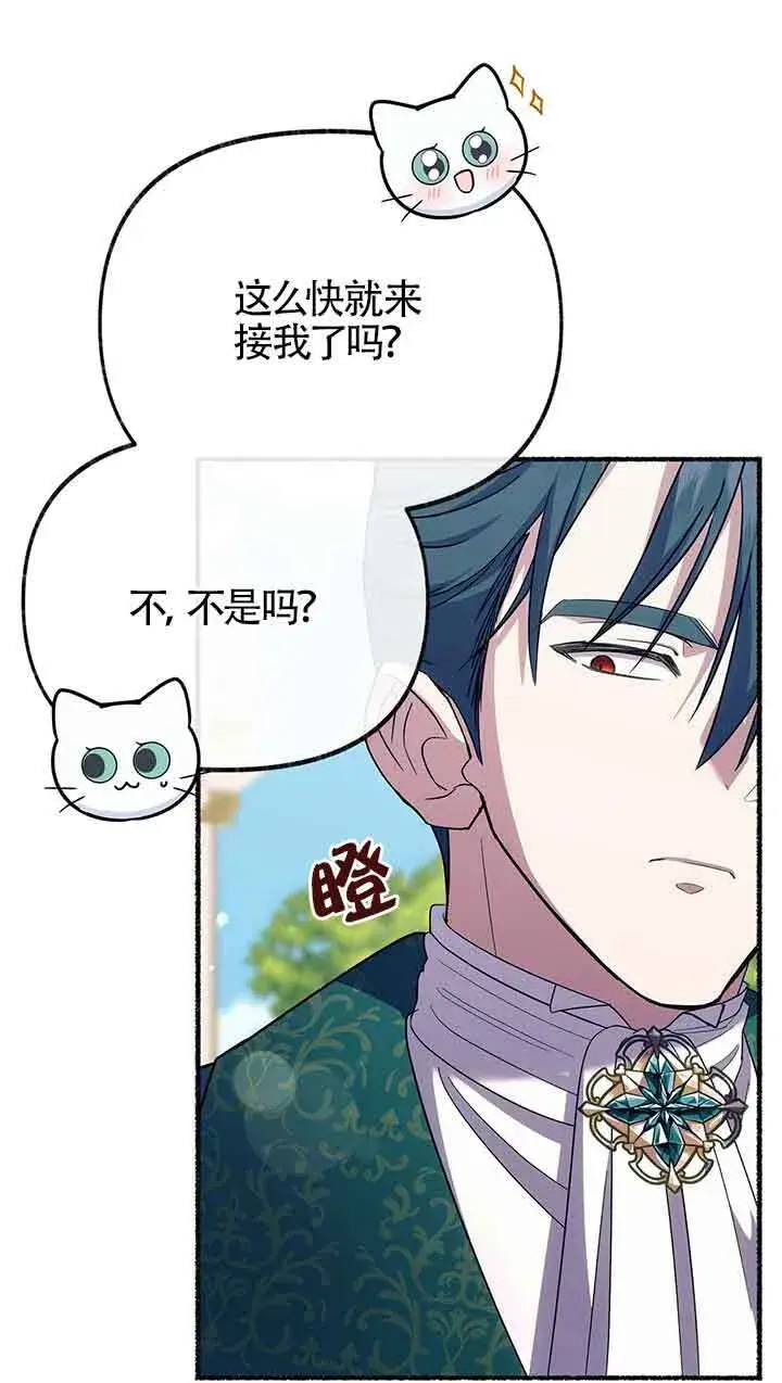 漫画《成了每晚和偏执暴君共眠的猫》第25话第17张图
