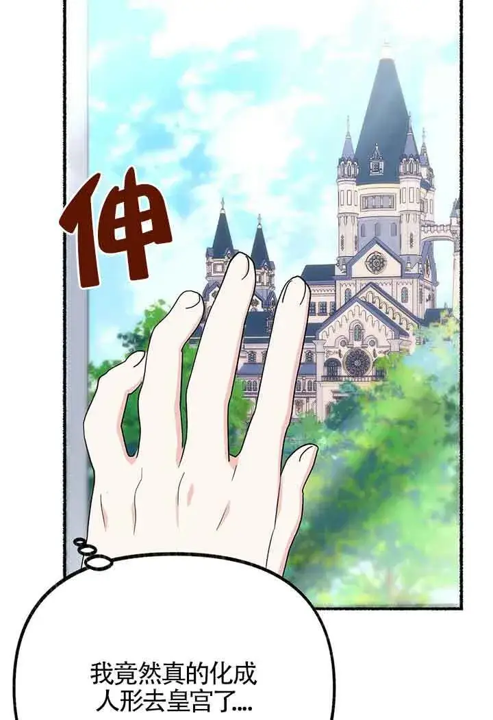 《成了每晚和偏执暴君共眠的猫》第27话图54