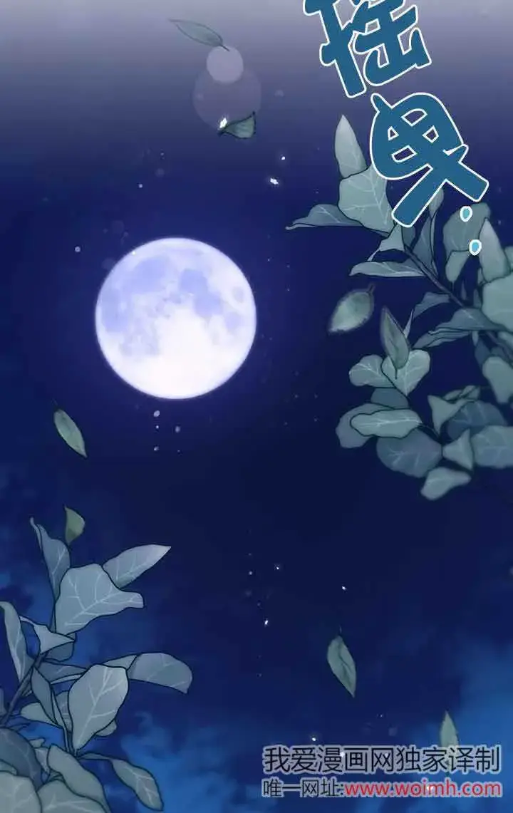 《成了每晚和偏执暴君共眠的猫》第28话图84