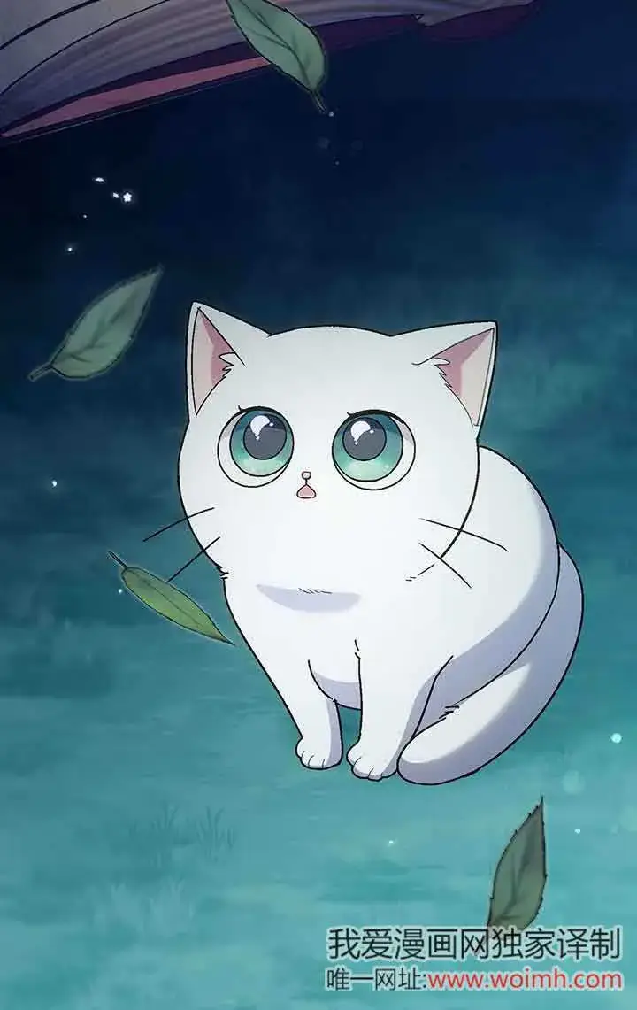 《成了每晚和偏执暴君共眠的猫》第28话图88