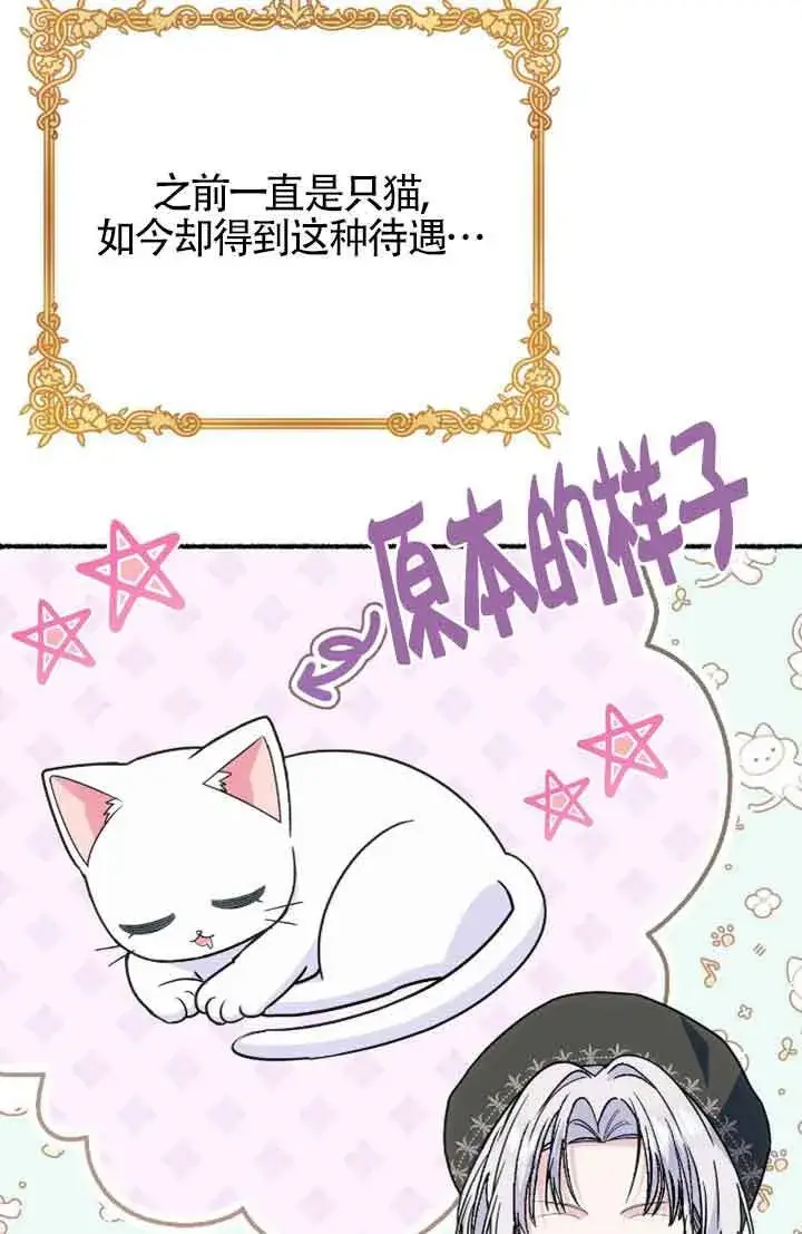 《成了每晚和偏执暴君共眠的猫》第31话图41