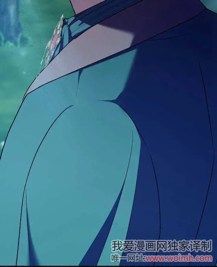 《成了每晚和偏执暴君共眠的猫》第33话图98