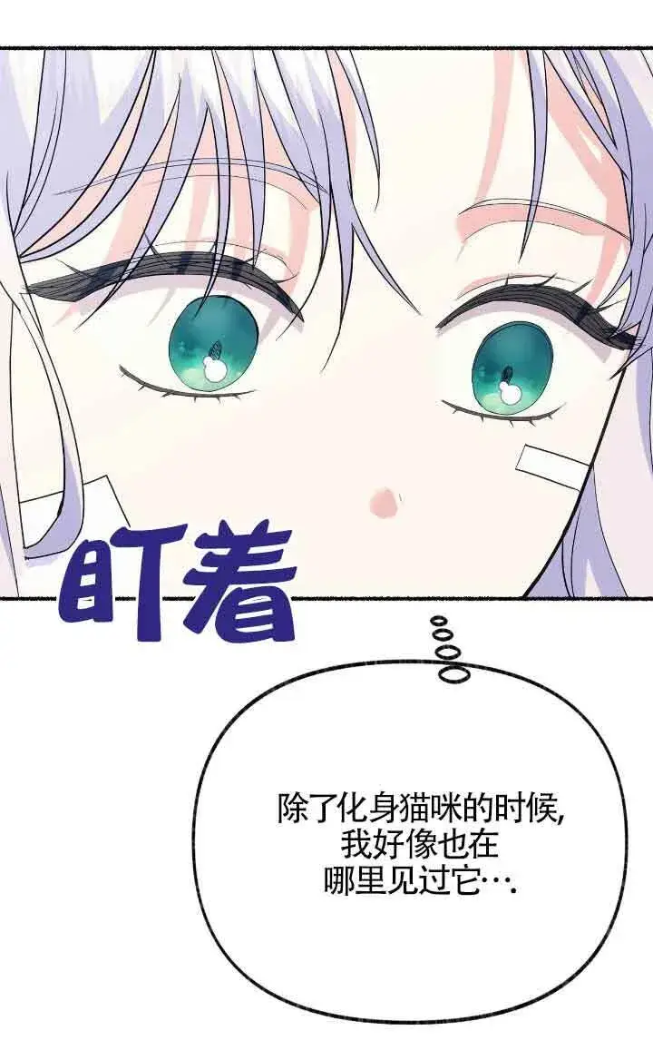 《成了每晚和偏执暴君共眠的猫》第36话图80