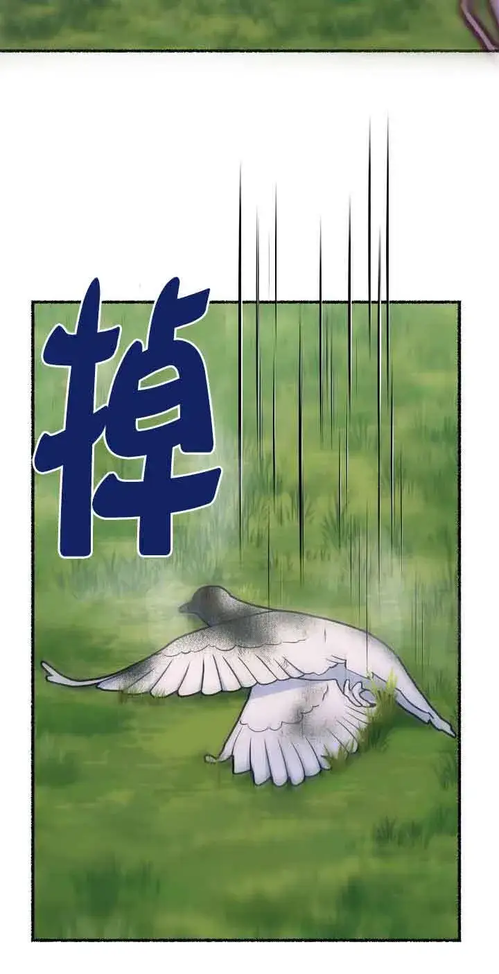 《成了每晚和偏执暴君共眠的猫》第39话图80
