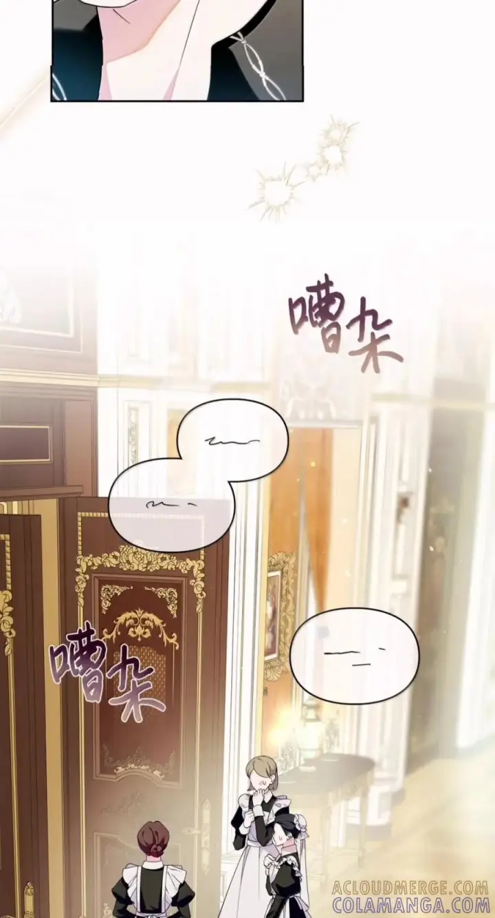 《成为暴君的奸臣》85 可疑的侍女图4