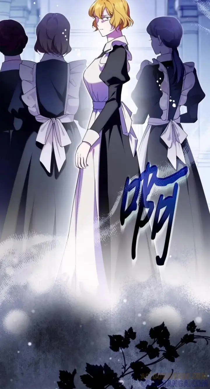 《成为暴君的奸臣》85 可疑的侍女图49