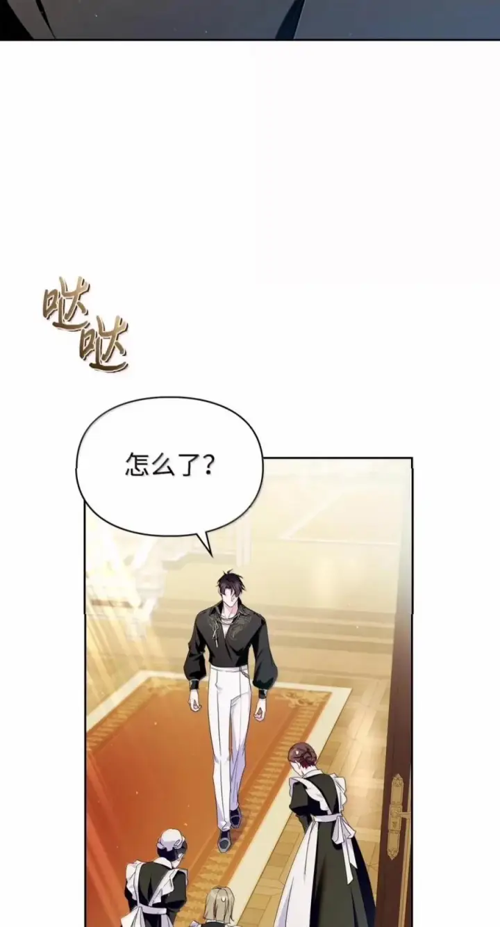 《成为暴君的奸臣》85 可疑的侍女图6