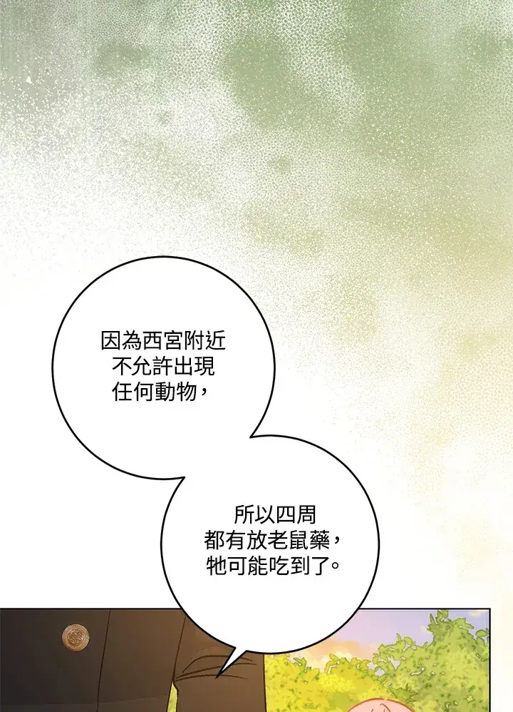 漫画《成为病弱女主角的妹妹》第31话第31张图