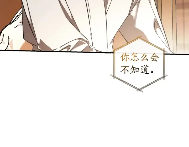 《成为伯爵家的废物》第121话 太阳神教团图219