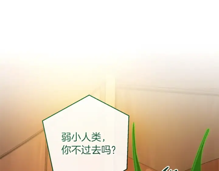 《成为伯爵家的废物》第158话 会谈开始图119