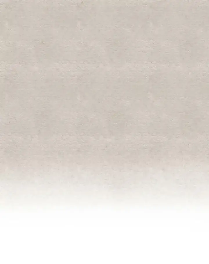 《成为皇帝的专属翻译》2.回忆初见图63