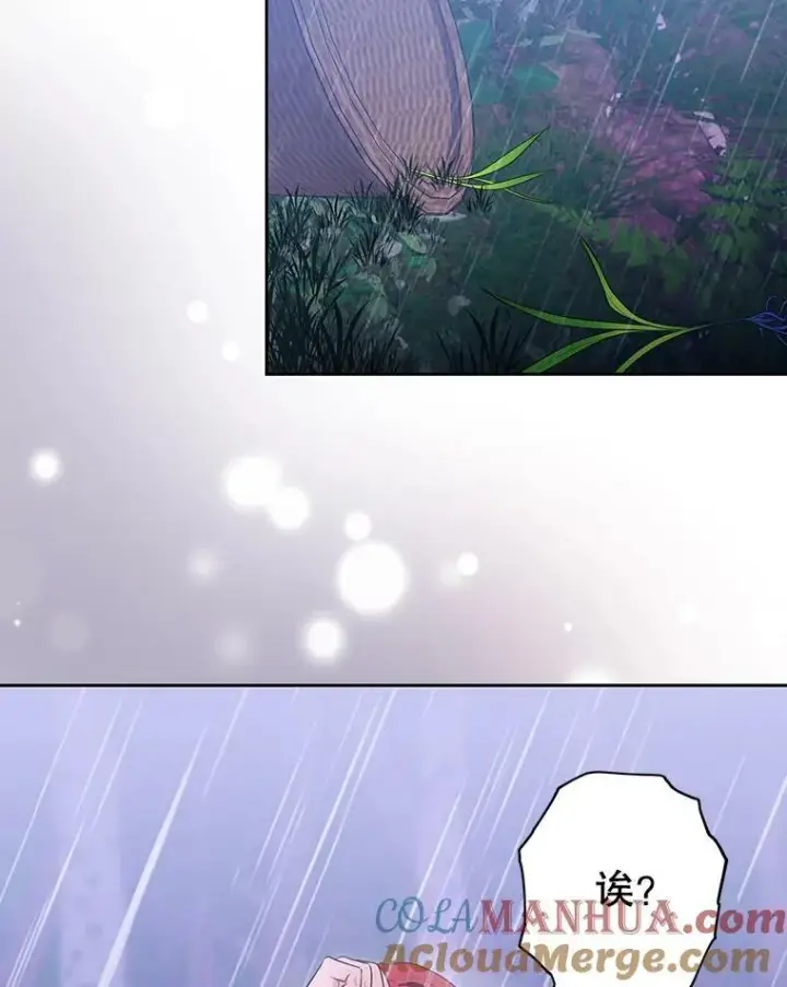 《成为皇帝的专属翻译》2.回忆初见图73