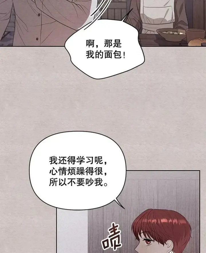 《成为皇帝的专属翻译》4.信物图14