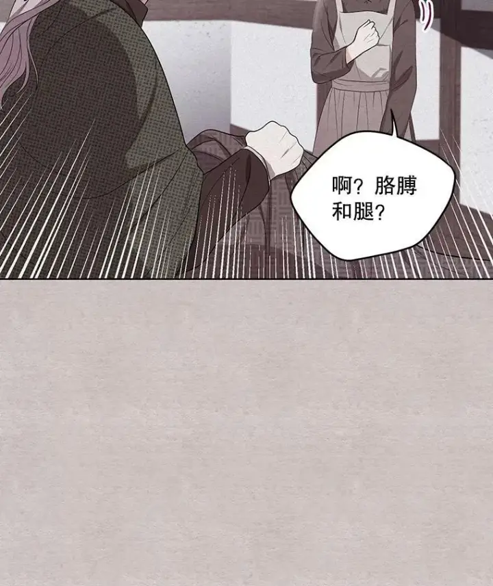 《成为皇帝的专属翻译》4.信物图23