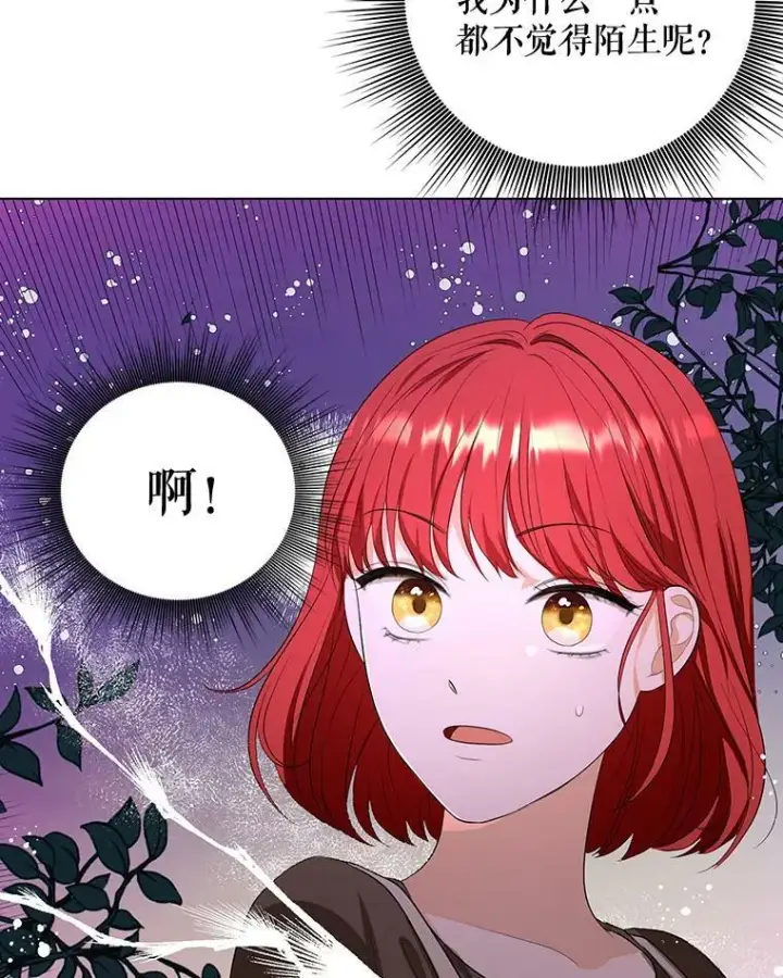 《成为皇帝的专属翻译》4.信物图3