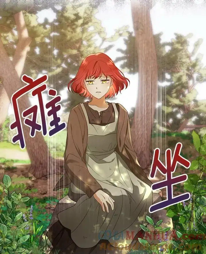 《成为皇帝的专属翻译》4.信物图61