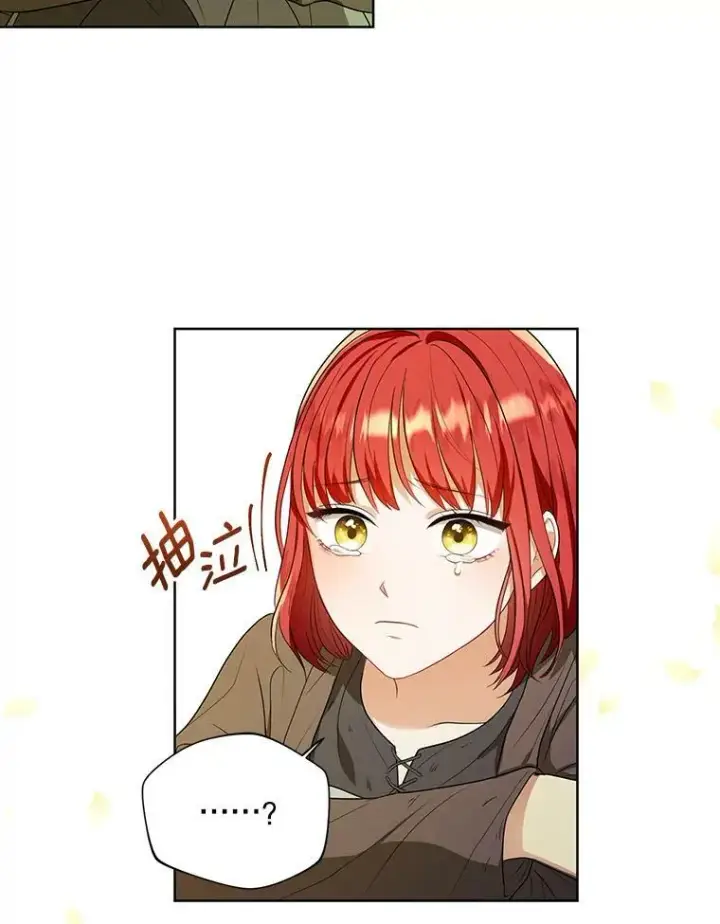 《成为皇帝的专属翻译》4.信物图65