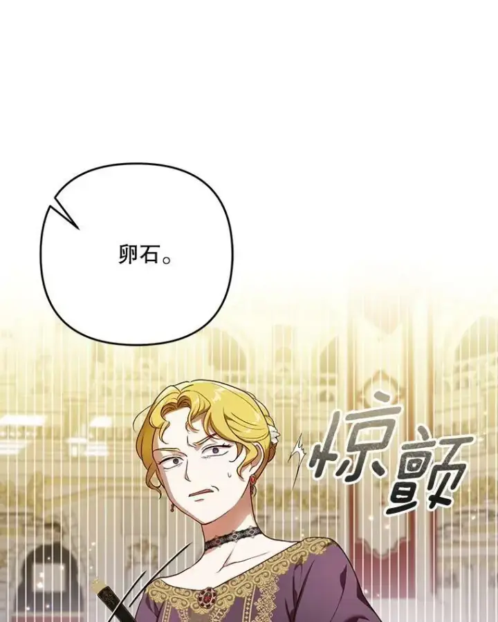 《成为皇帝的专属翻译》24.挺身而出图75
