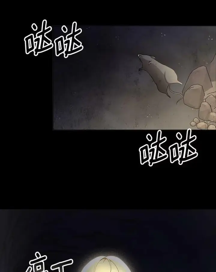 《成为皇帝的专属翻译》27.秘密空间图77