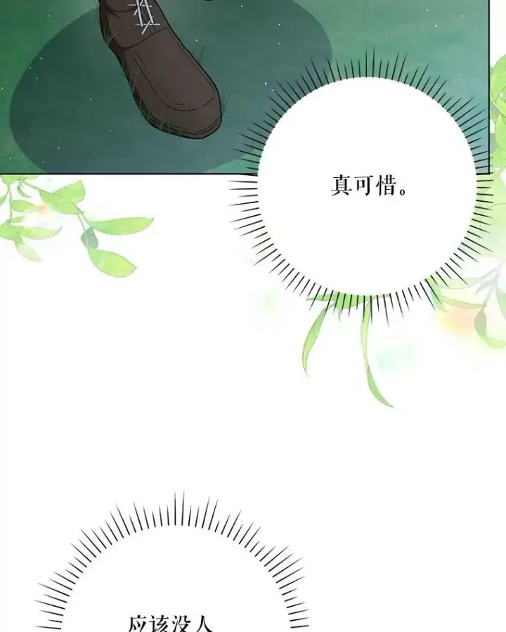 《成为皇帝的专属翻译》32.决心离宫图102